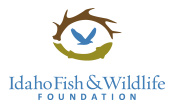 Idaho Fish & Wildlife Foundation