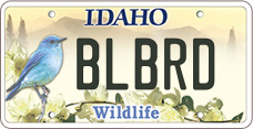 Idaho Bluebird Plate